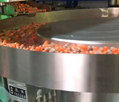 Машина для упаковки капсул в стрип-пакеты